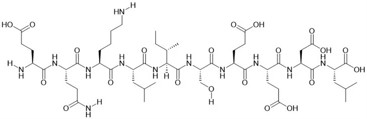 Myc Epitope Peptide