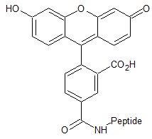 product-214-197 product-214-197