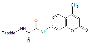 product-290-142 product-290-142