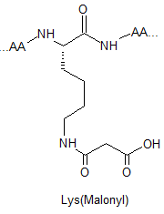 product-180-235 product-180-235