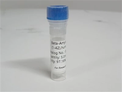 Beta{0}}Amyloid (1-42), Con người