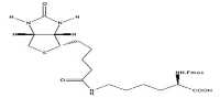 FMOC-D-Lys (Biotin) -OH