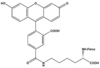 Fmoc-Lys(5-FAM)-OH