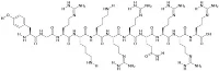 Protein HIV-Tat (47-57)