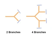 Nhiều peptide kháng nguyên