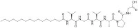 Palmitoyl hexapeptide -12