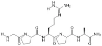 Pentapeptide -3