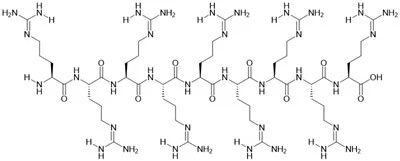 R9 peptit