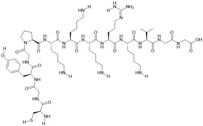 Tương tự peptide tín hiệu vận chuyển hạt nhân SV40
