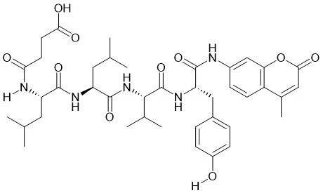 Sức-LLVY-AMC